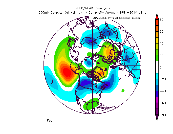 FEB Z500 ANALOGS